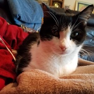 Meet your Posher, Nicole